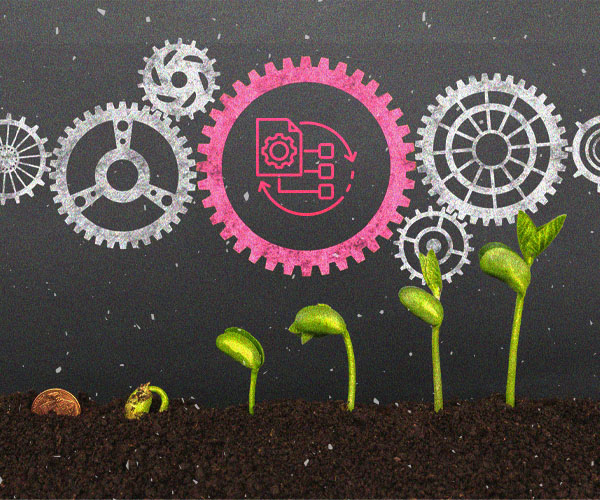 Marketing automation: fai fiorire la tua strategia