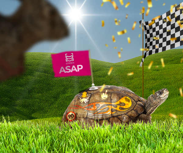 ASAP O NON ASAP: è più efficace essere tartaruga o lepre?